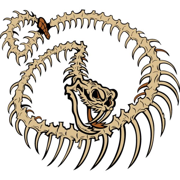 snake skeleton Thumbnail