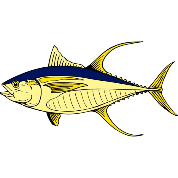 fish yellowfintuna Thumbnail